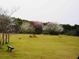 唐人駄馬公園２