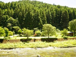 地蔵寺川キャンプ場１