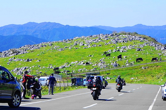 カルストの中を快走